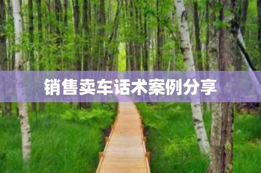 销售卖车话术案例分享