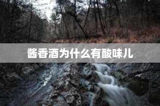 酱香酒为什么有酸味儿