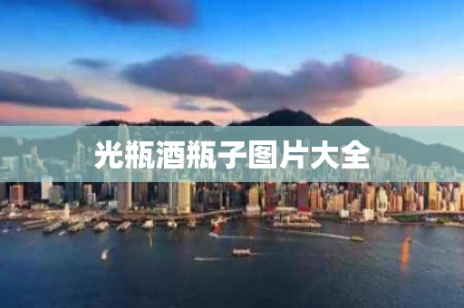 光瓶酒瓶子图片大全