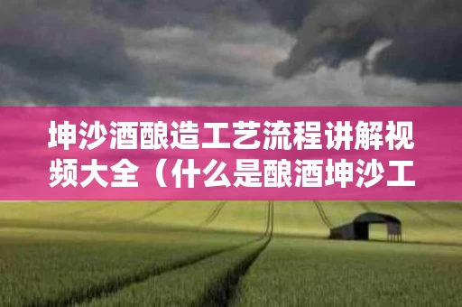 坤沙酒酿造工艺流程讲解视频大全（什么是酿酒坤沙工艺）