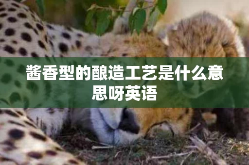 酱香型的酿造工艺是什么意思呀英语