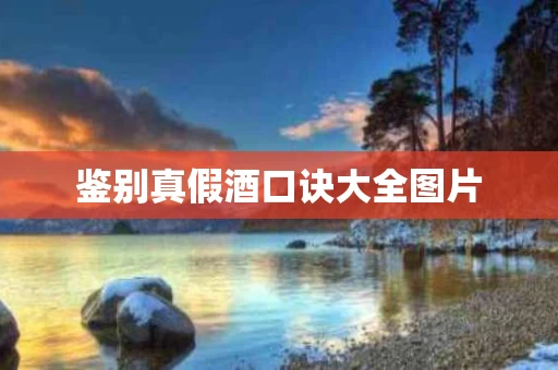 鉴别真假酒口诀大全图片