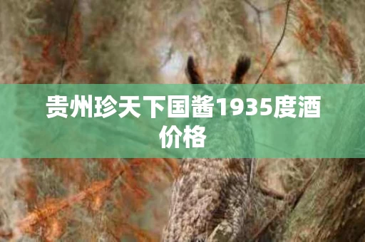 贵州珍天下国酱1935度酒价格
