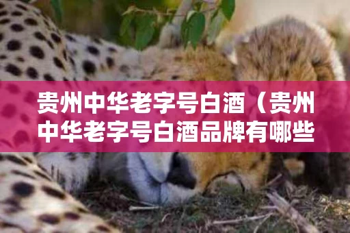 贵州中华老字号白酒（贵州中华老字号白酒品牌有哪些）