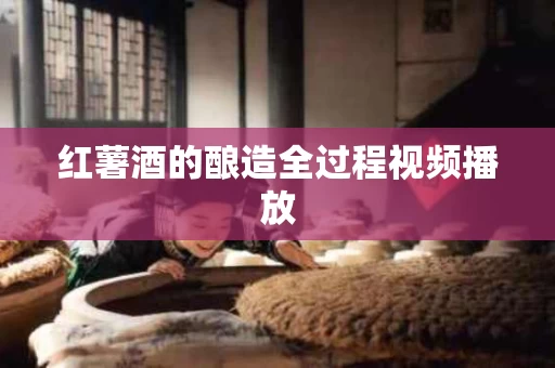 红薯酒的酿造全过程视频播放