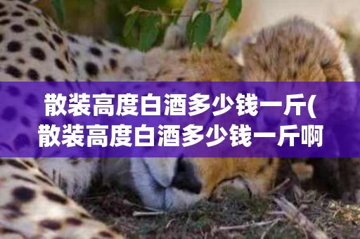 散装高度白酒多少钱一斤(散装高度白酒多少钱一斤啊)