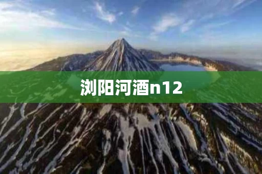 浏阳河酒n12