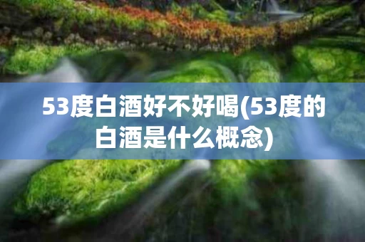 53度白酒好不好喝(53度的白酒是什么概念)