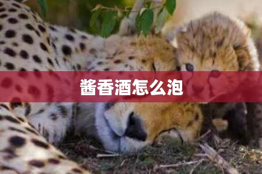 酱香酒怎么泡