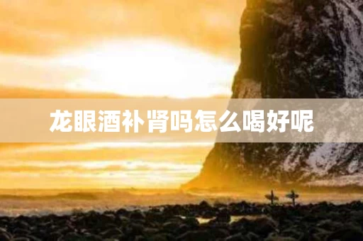 龙眼酒补肾吗怎么喝好呢