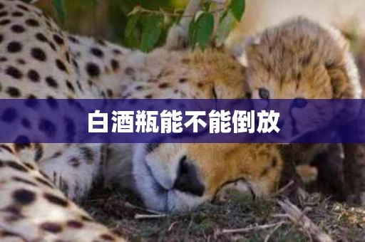 白酒瓶能不能倒放