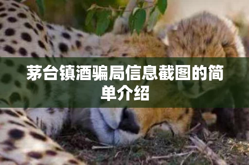 茅台镇酒骗局信息截图的简单介绍