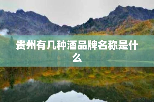 贵州有几种酒品牌名称是什么