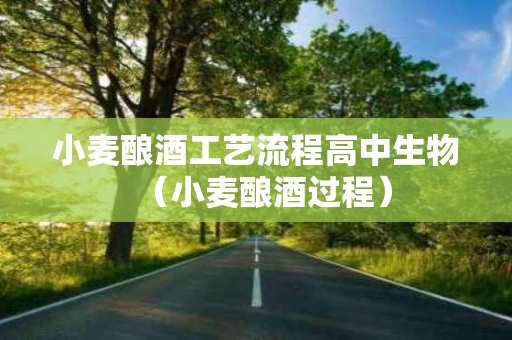 小麦酿酒工艺流程高中生物（小麦酿酒过程）
