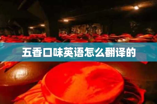 五香口味英语怎么翻译的 五香口味英语怎么翻译的