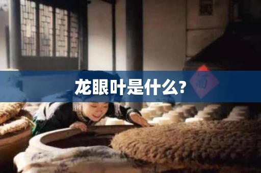 龙眼叶是什么?