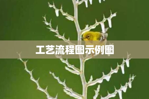 工艺流程图示例图