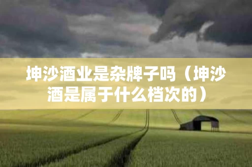 坤沙酒业是杂牌子吗（坤沙酒是属于什么档次的）