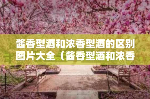 酱香型酒和浓香型酒的区别图片大全（酱香型酒和浓香型酒哪种好）
