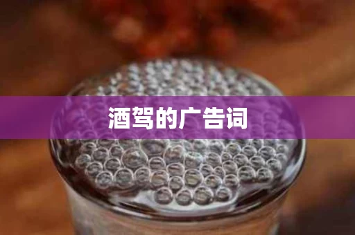 酒驾的广告词