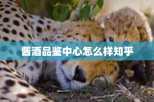 酱酒品鉴中心怎么样知乎