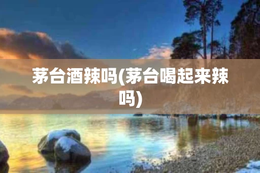 茅台酒辣吗(茅台喝起来辣吗)