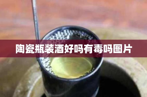 陶瓷瓶装酒好吗有毒吗图片