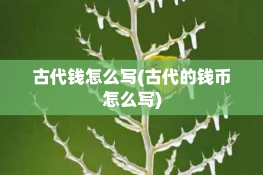 古代钱怎么写(古代的钱币怎么写)
