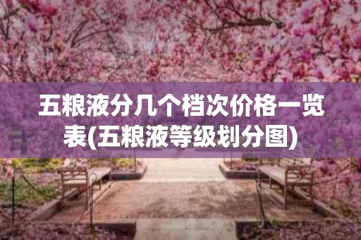 五粮液分几个档次价格一览表(五粮液等级划分图)