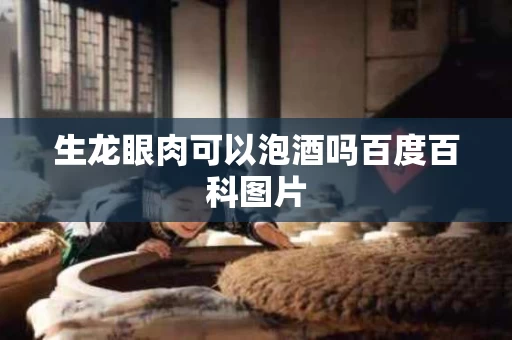 生龙眼肉可以泡酒吗百度百科图片