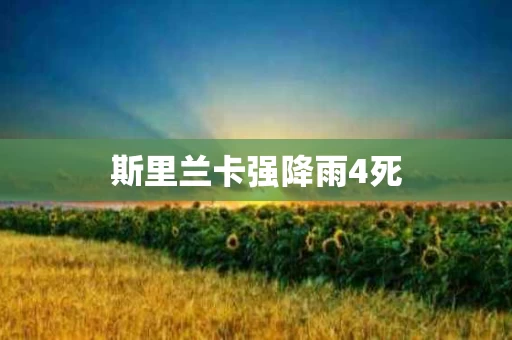 斯里兰卡强降雨4死