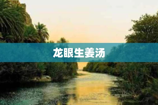 龙眼生姜汤