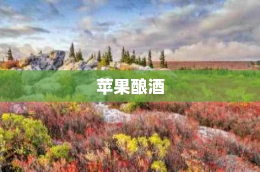 苹果酿酒