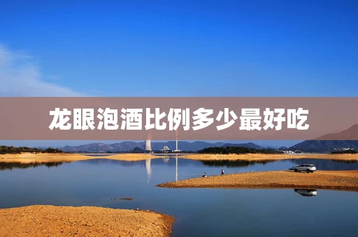龙眼泡酒比例多少最好吃