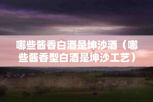 哪些酱香白酒是坤沙酒（哪些酱香型白酒是坤沙工艺）