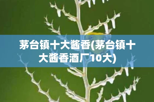 茅台镇十大酱香(茅台镇十大酱香酒厂10大)