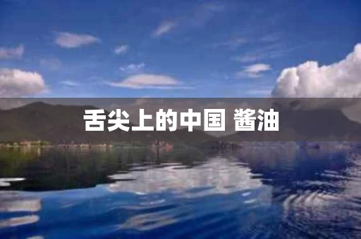 舌尖上的中国 酱油