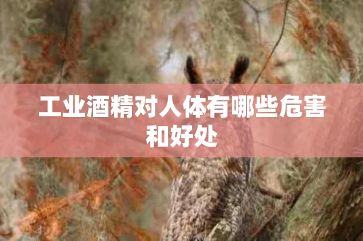 工业酒精对人体有哪些危害和好处