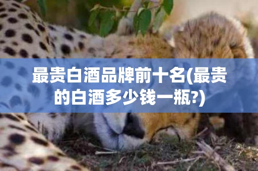 最贵白酒品牌前十名(最贵的白酒多少钱一瓶?)