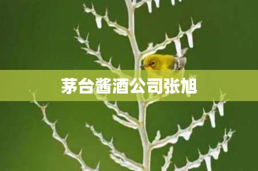 茅台酱酒公司张旭