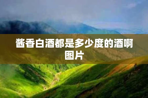 酱香白酒都是多少度的酒啊图片