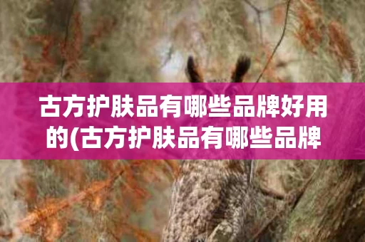 古方护肤品有哪些品牌好用的(古方护肤品有哪些品牌好用的呢)