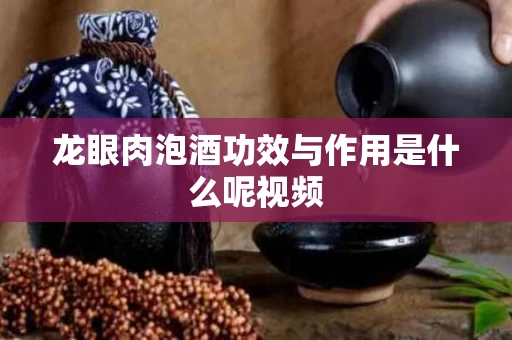 龙眼肉泡酒功效与作用是什么呢视频