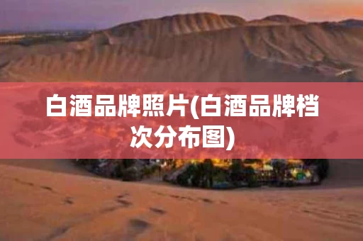 白酒品牌照片(白酒品牌档次分布图)
