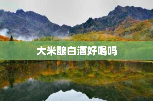 大米酿白酒好喝吗