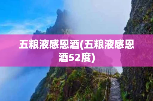 五粮液感恩酒(五粮液感恩酒52度)