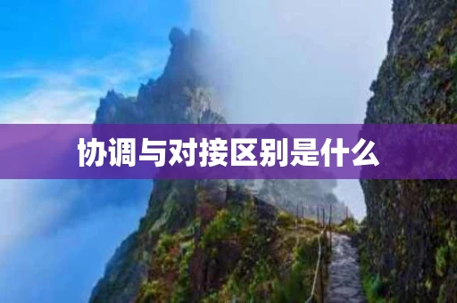 协调与对接区别是什么