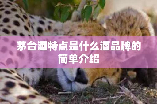 茅台酒特点是什么酒品牌的简单介绍