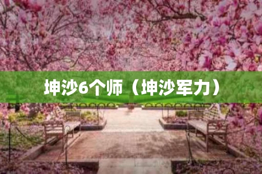 坤沙6个师（坤沙军力）