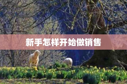 新手怎样开始做销售